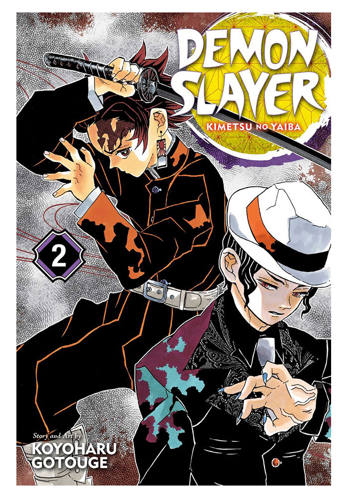 Viz Media Demon Slayer Kimetsu No Yaiba Vol 2 Manga Newbury Comics