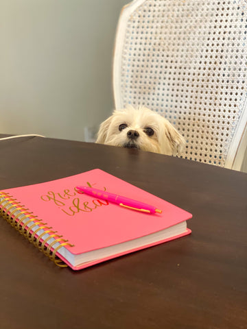 Great ideas pink spiral notebook and girl power pen set