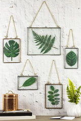 Tropical leaf hanging floating frames