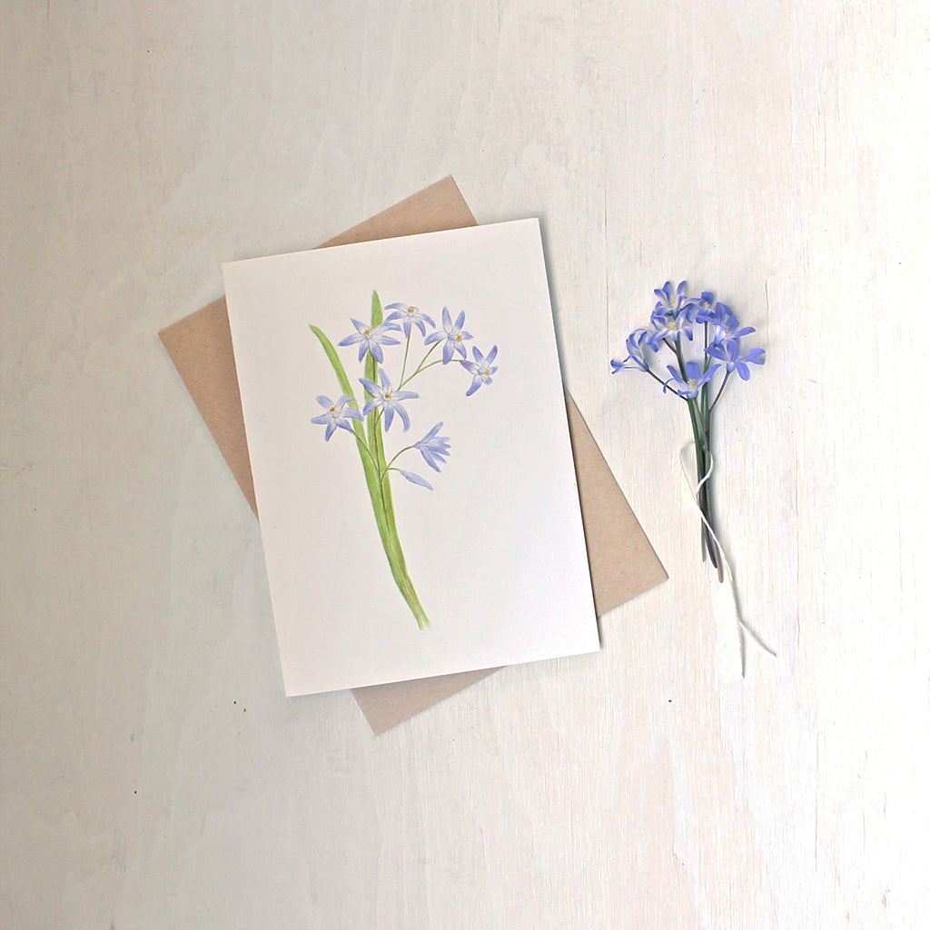A note card featuring a watercolour painting of blue chionodoxa (glory of the snow) by artist Kathleen Maunder.