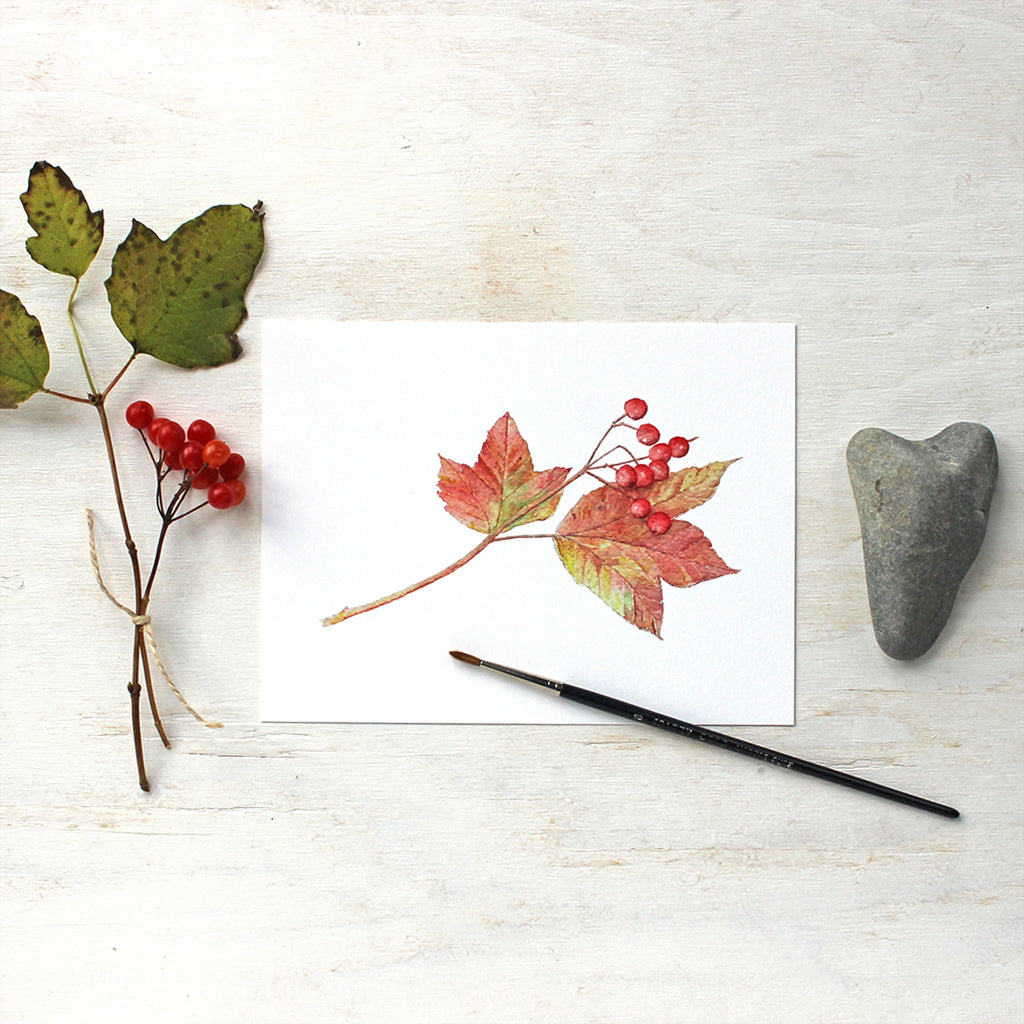 Art print based on an autumn watercolor painting of viburnum leaves and berries. Artist Kathleen Maunder.