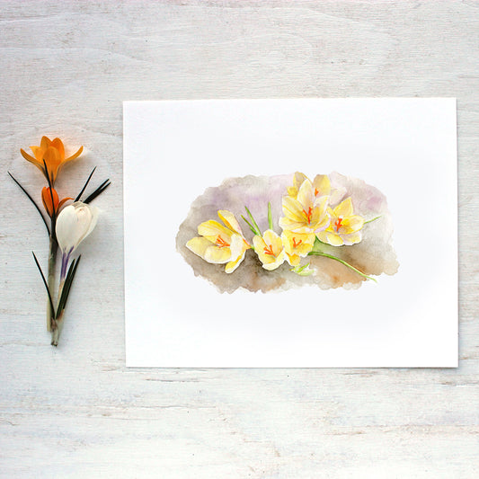 Yellow Crocus Watercolor Cards – Trowel and Paintbrush