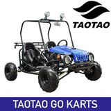 Tao Motors TAOTAO Chinese Go Kart Cart Go-Kart