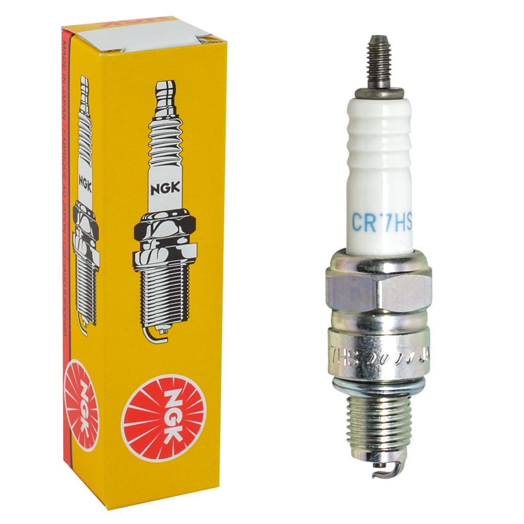 ngk bike spark plug price