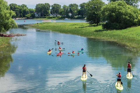 Paddle Board in Boucherville Islands Park