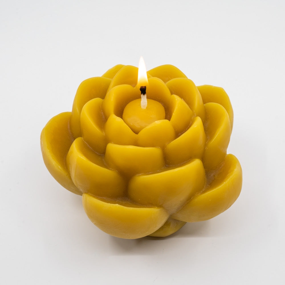 Beeswax Lotus Flower