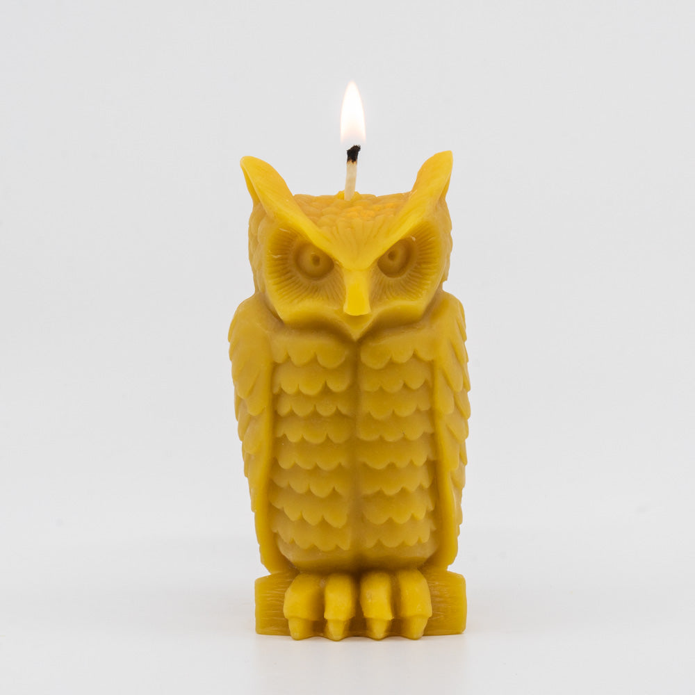 Beeswax Wise Owl