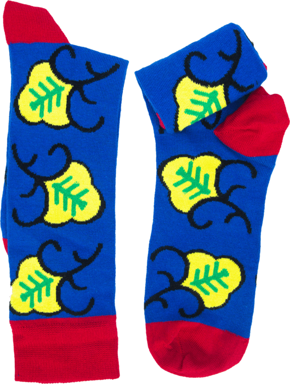Nyamiye Socks