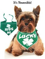 Kiss Me - Lucky 2-in1 Reversible St. Paddy's Day Scarf With Charm - color Green/White