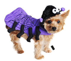 Isty Bitsy Purple Spider Costume for Dogs