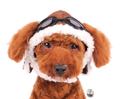 Aviator Hat with Goggles for dogs