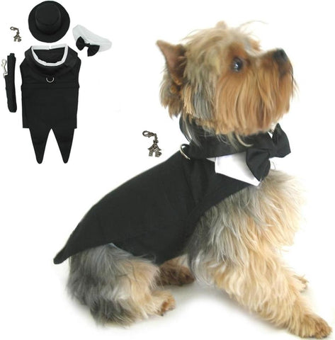 Doggie Design Tuxedo Harness with Top Hat and leash for Dog Sizes XS to 3XL