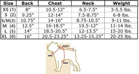 costume size chart with how to diagram