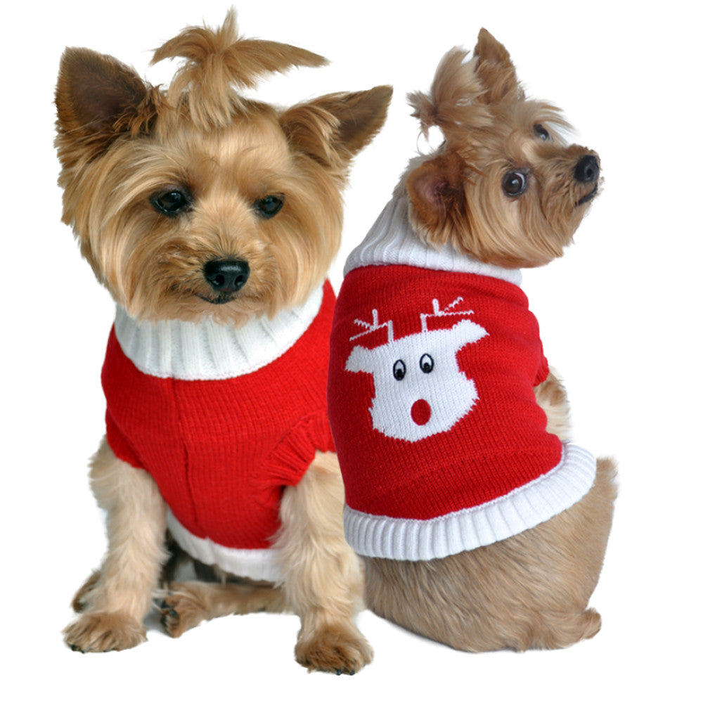 Rudolph the Red Nosed Reindeer Red Sweater for Dogs – Daisey&#39;s Doggie Chic