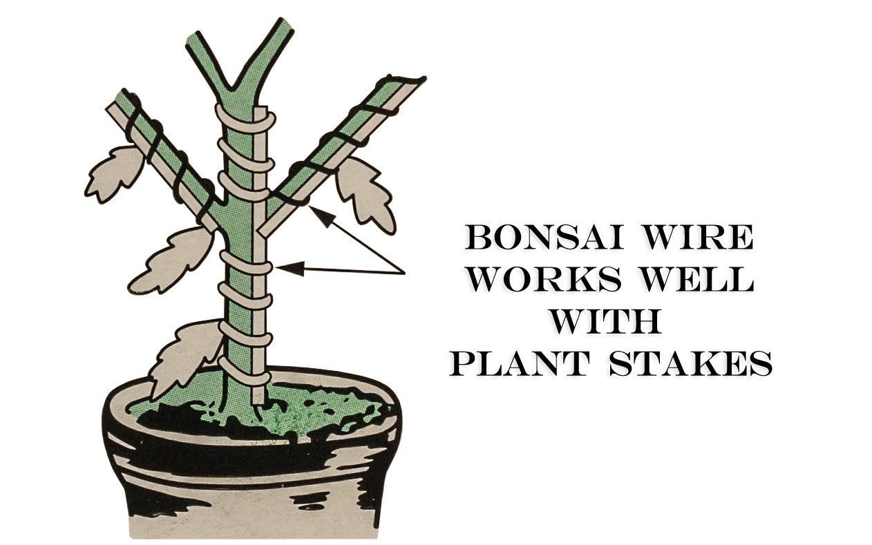 Bonsai Wire ~ Made in Japan