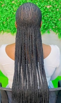 Senegalese Twists