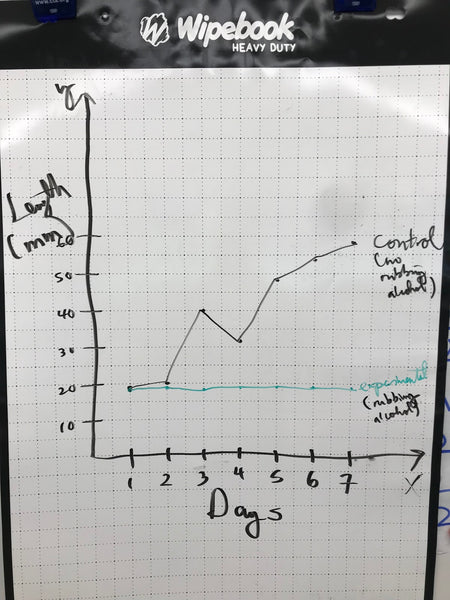 Using the graph side of the Flipchart to showcase different models.