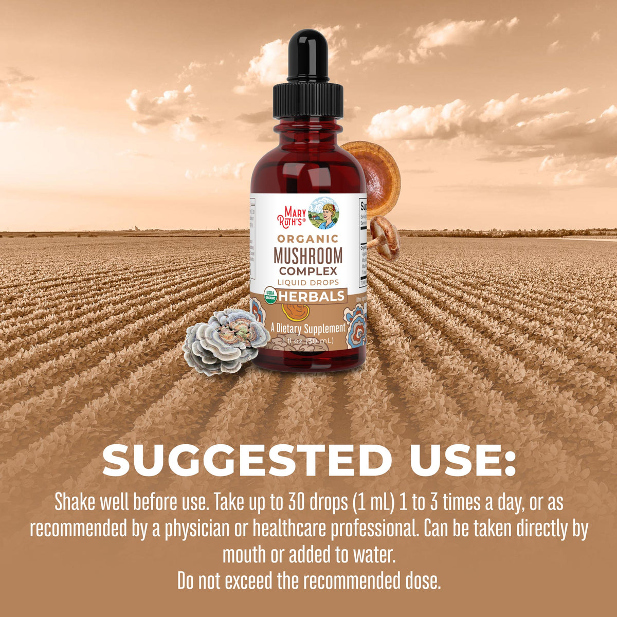 Organic Mushroom Complex Liquid Drops