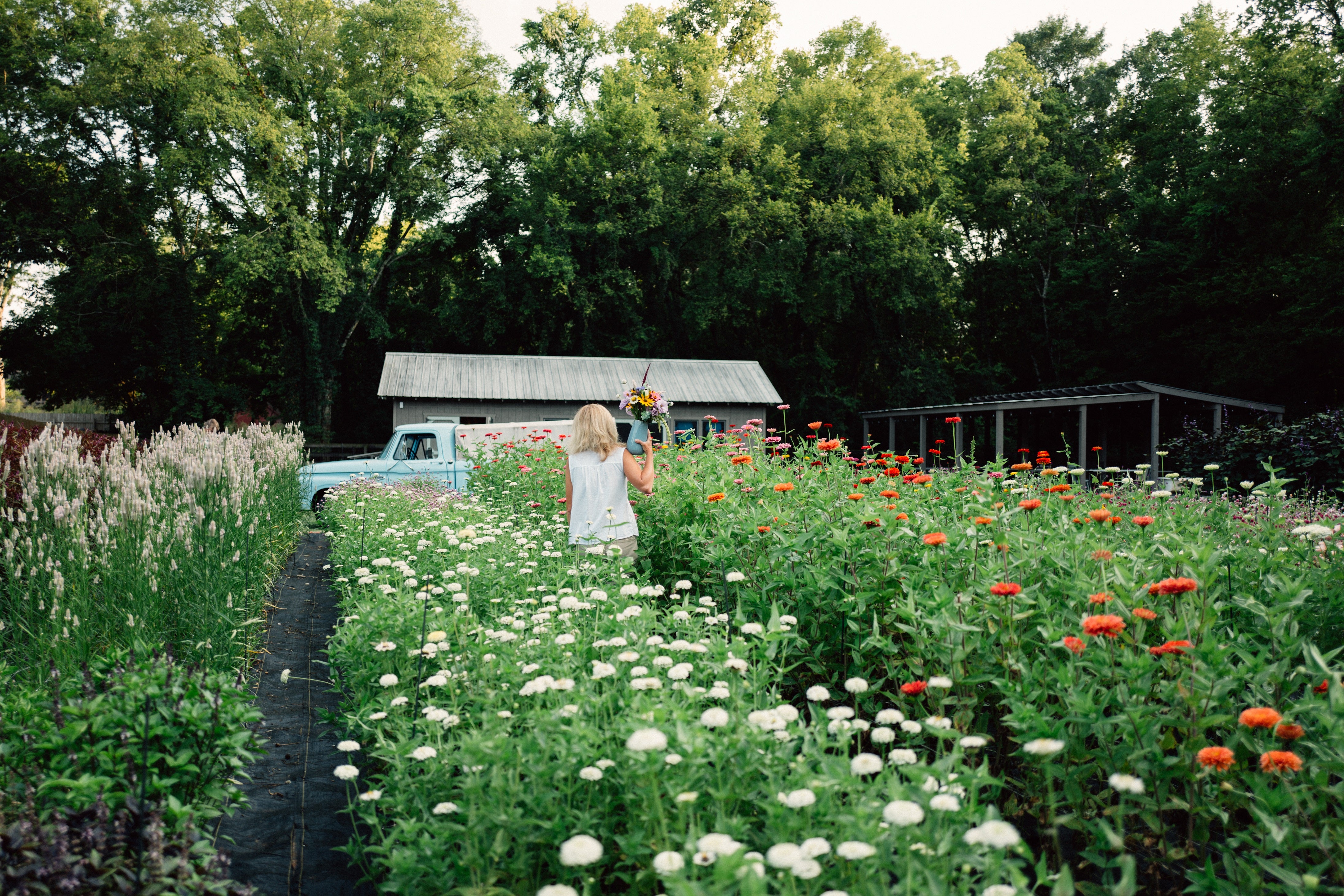 1818 Farms Bloom Stroll & Bouquet Workshop