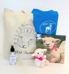 1818 Farms Baby Girl Prize Pack