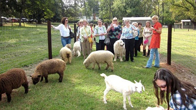 1818 Farms Guided Tours
