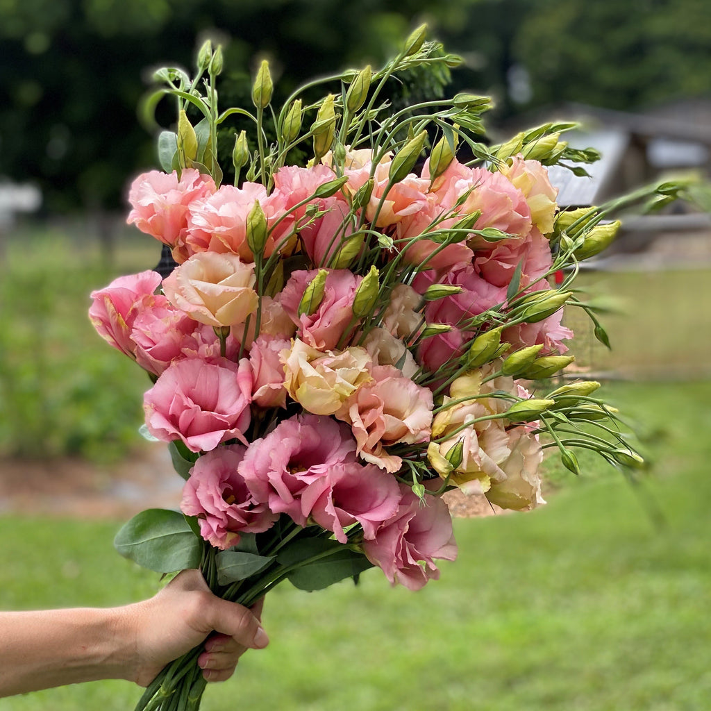 New Baby Girl Bouquet