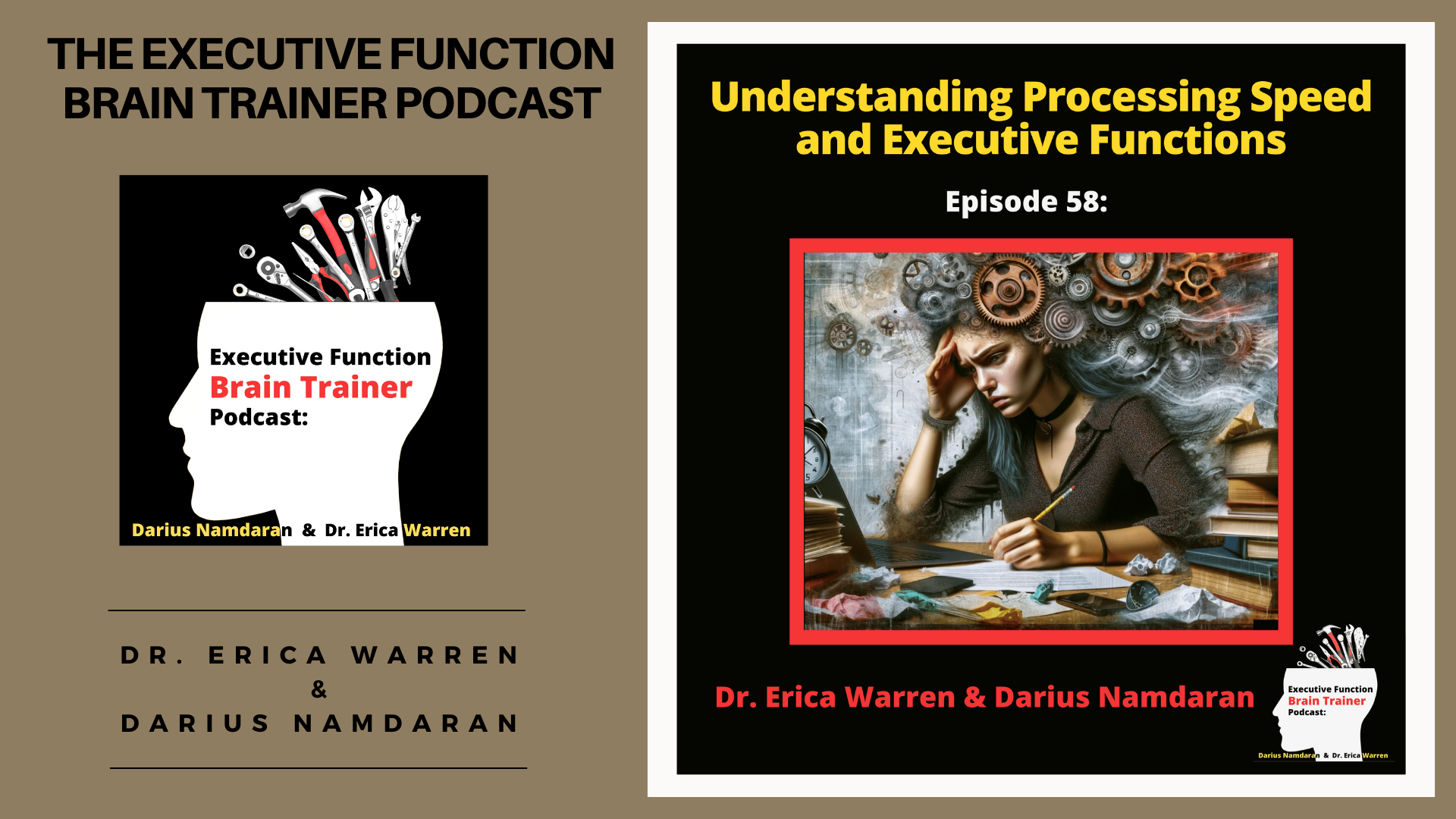 Episode 58 Understanding Executive Functions and Processing Speed