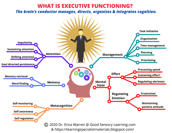 web depicting executive functioning