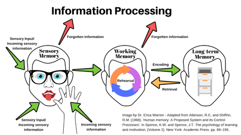Information Processing