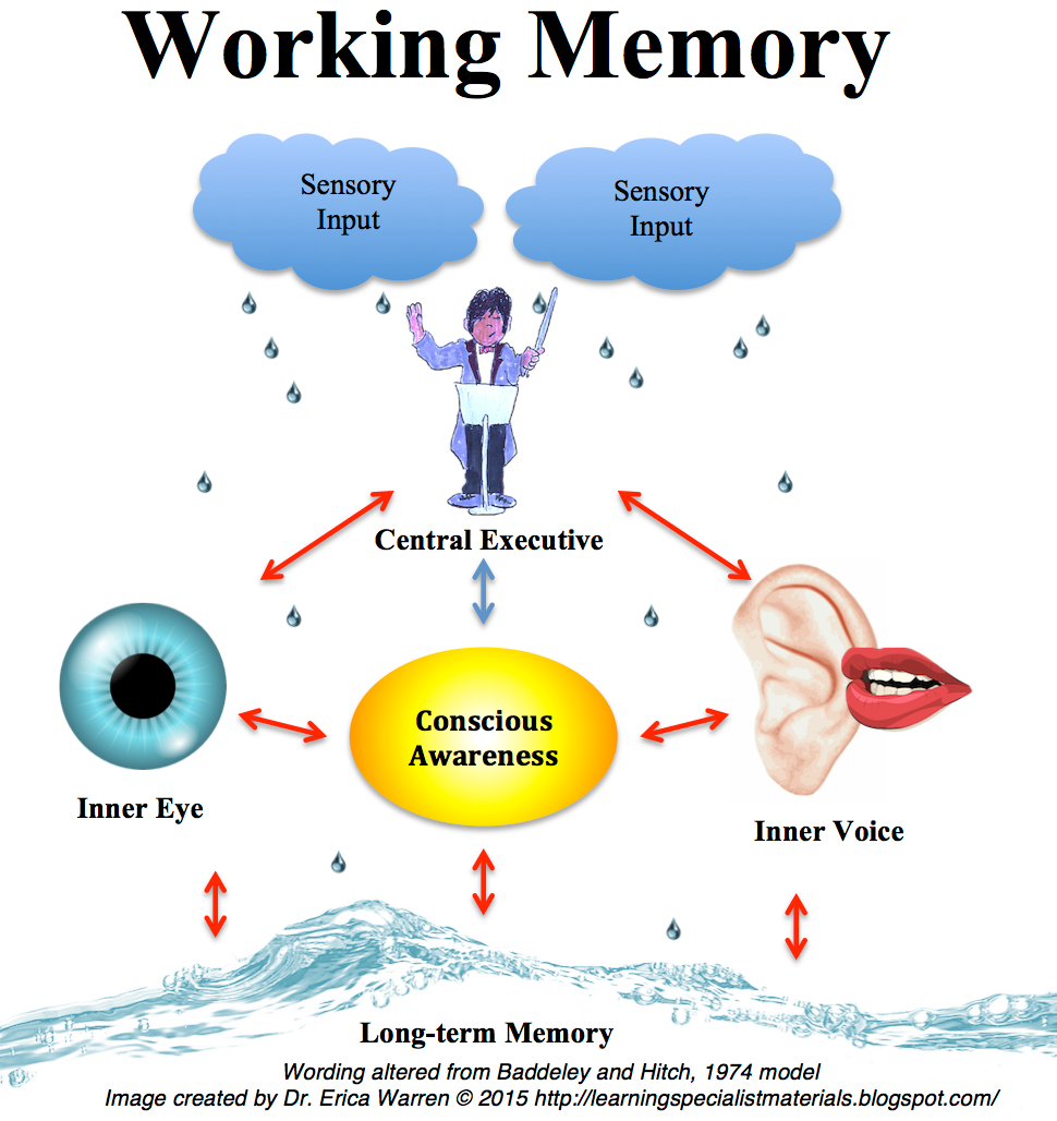 Infographic Definition Iconic Memory