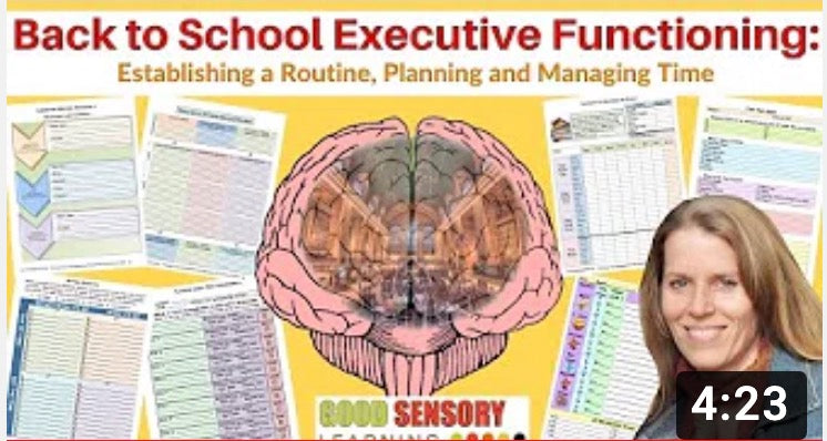 Executive functioning workbook pages and resources