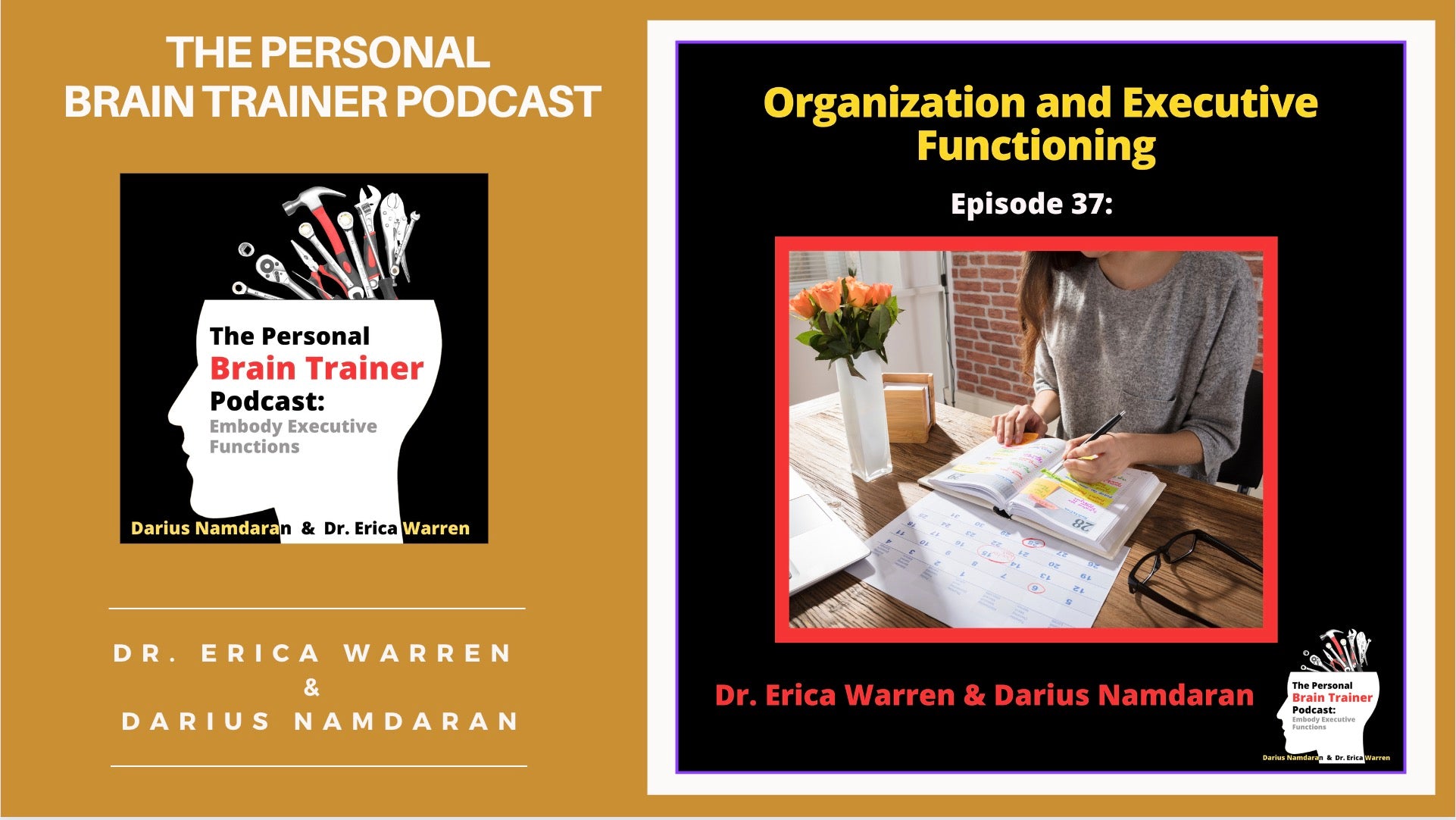 Episode 37 of the personal brain trainer podcast