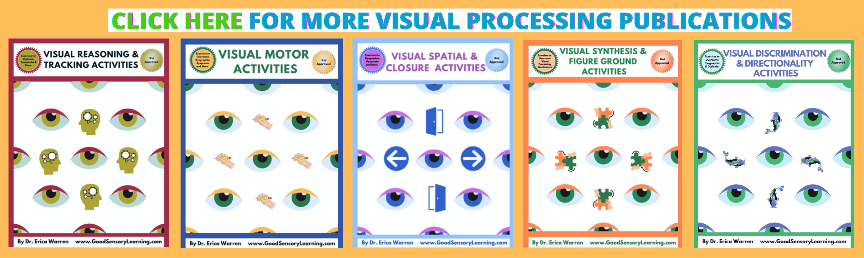 visual processing pubs