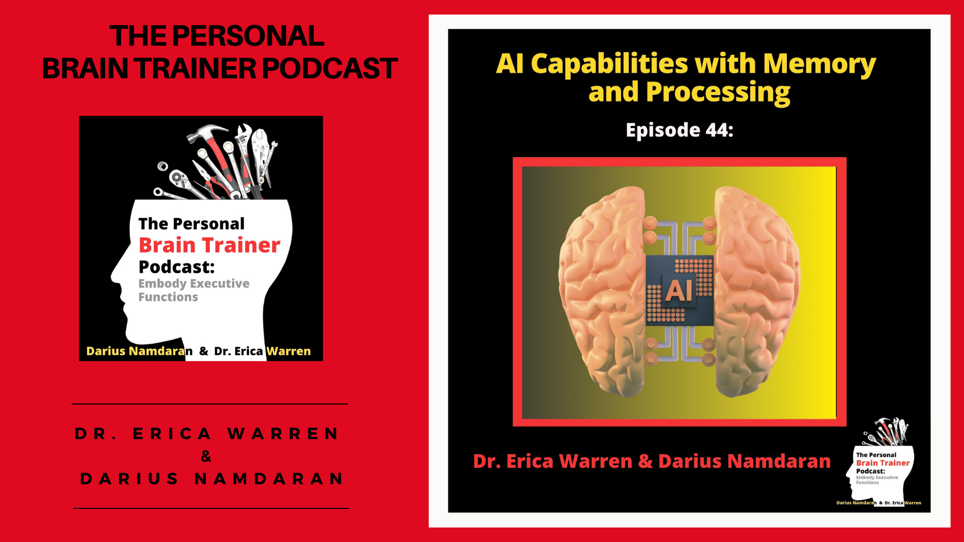 Episode 44 of the Personal Brain Trainer Podcast