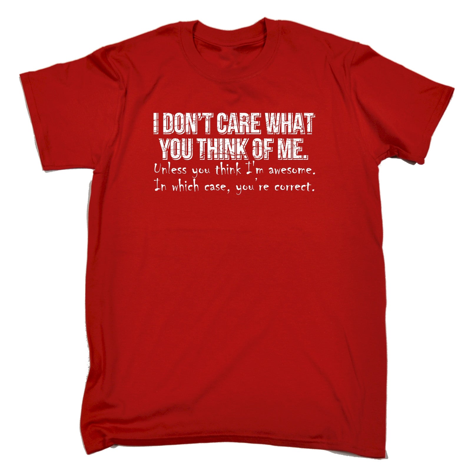 I Dont Care What You Think Of Me Youre Correct T-SHIRT tee funny ...