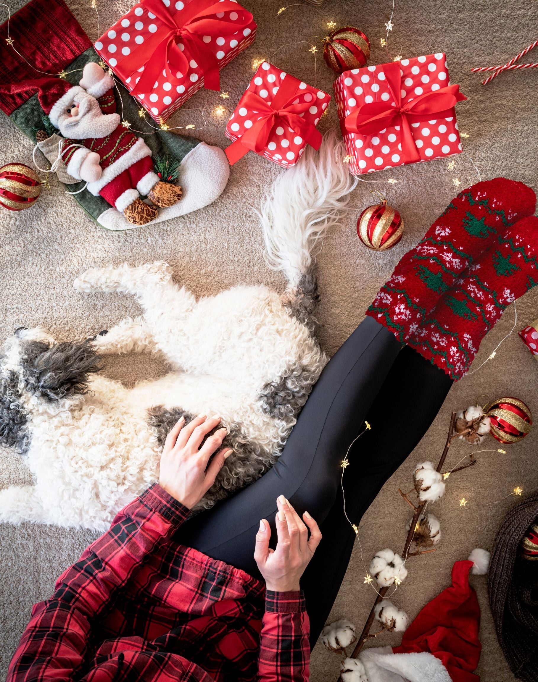 Women's Christmas Tree Cozy Socks & Legging Set