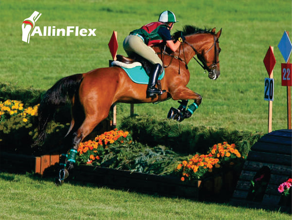 can i protect my horse's joints if competing ground is hard?