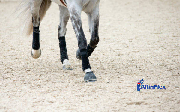 Equine joint health supplements for hard grounds