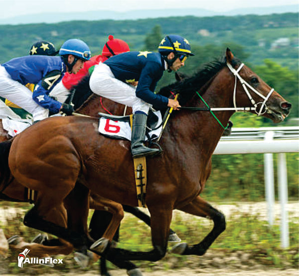 Horse racing in New Zealand