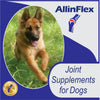 joint powder for dog's mobility