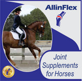 horse joint products for lameness in fetlocks