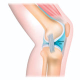 knee joint fluid