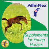 Young horse bone and joint growth supplement