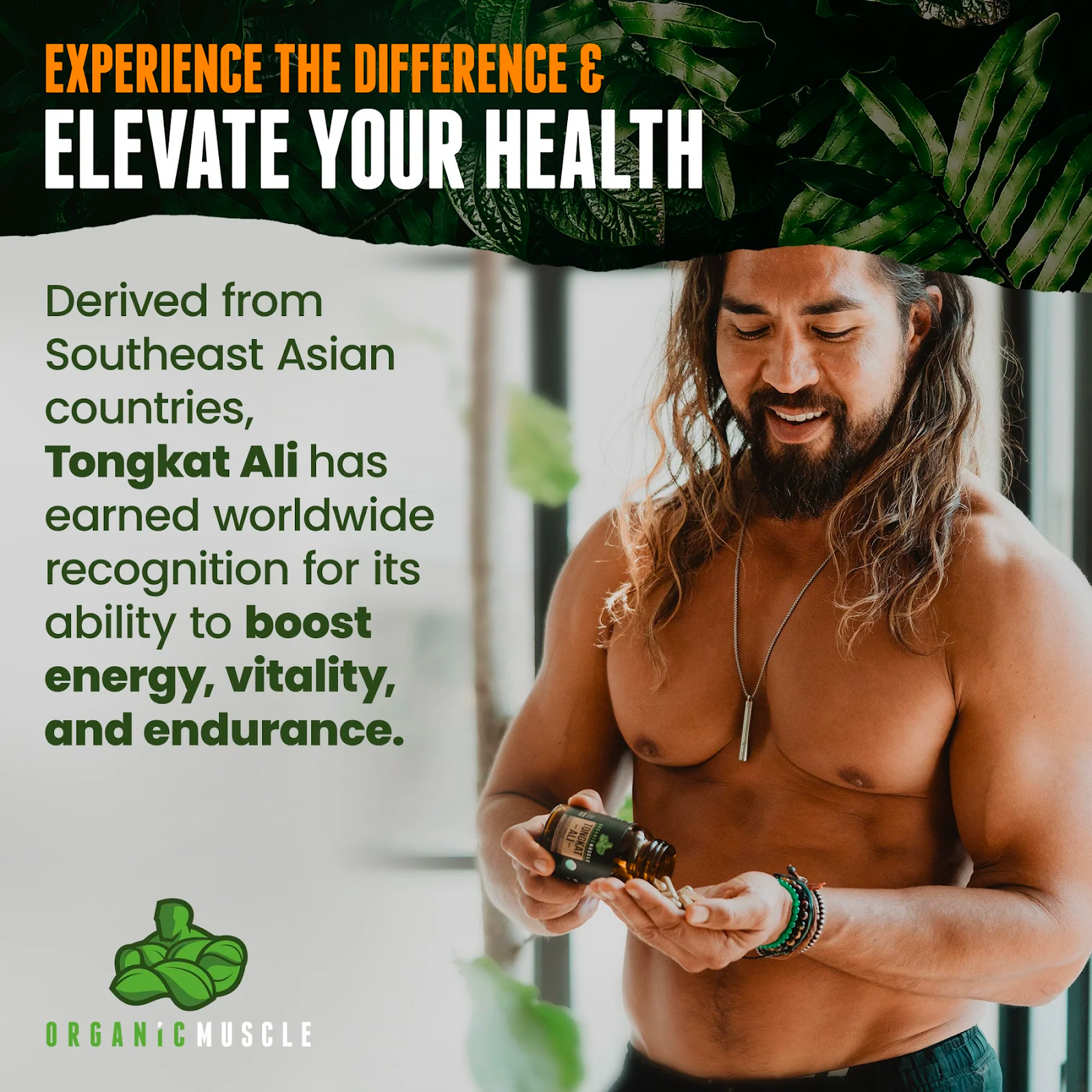 Elevate your health