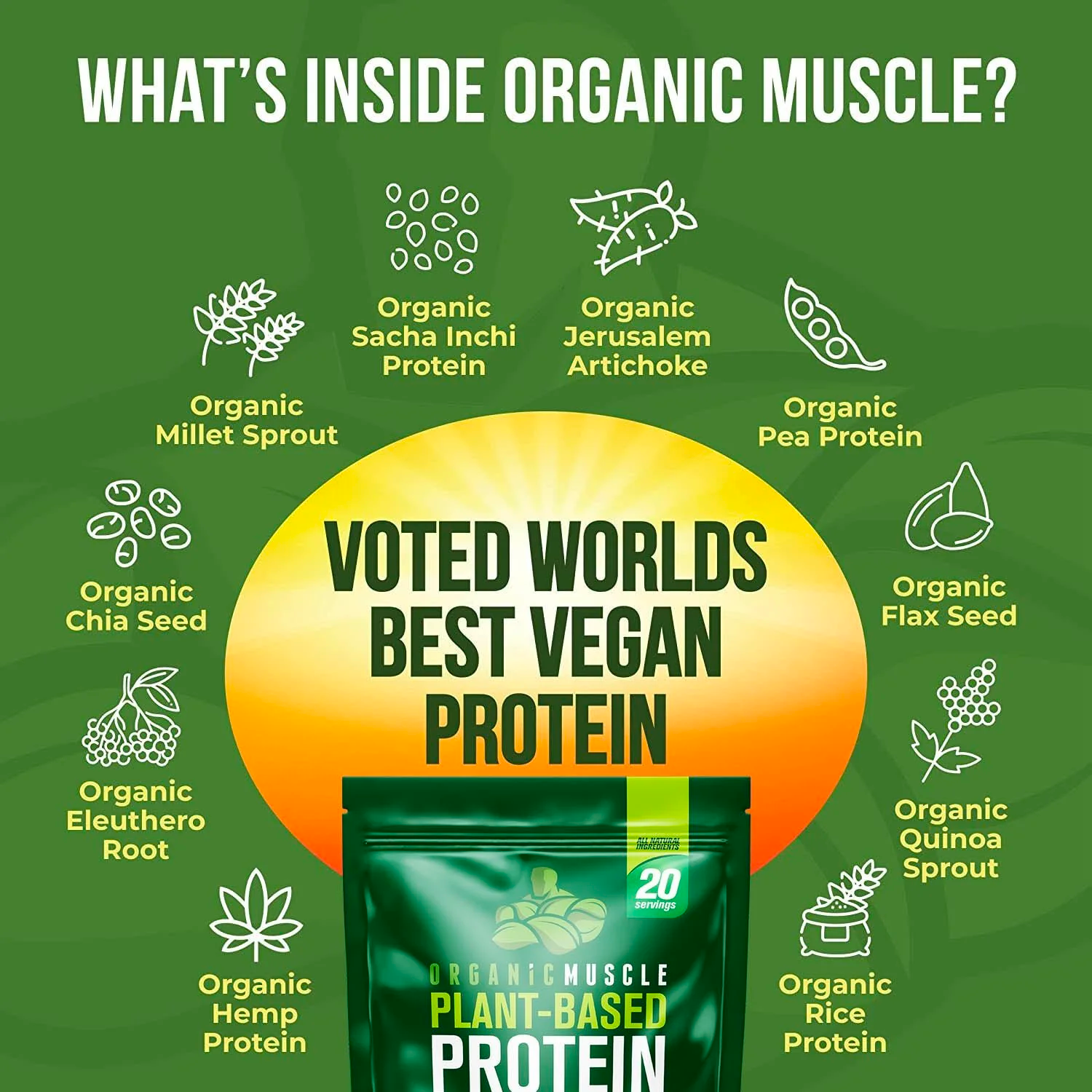 Worlds Best Vegan Protein