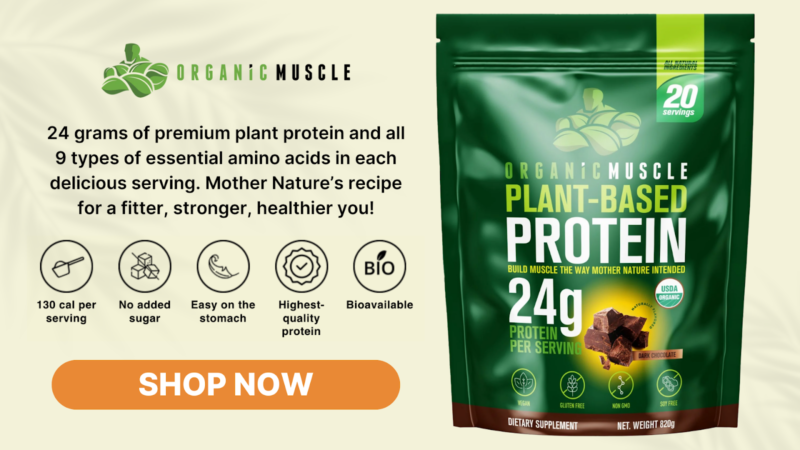 Organic Vegan Protein - Chocolate