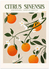 Citrus poster