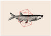 Fish In Geometrics Nº2