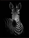 The Zebra