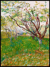 Den blomstrende frukthagen, Vincent Van Gogh - Plakat - Plakatbar.no